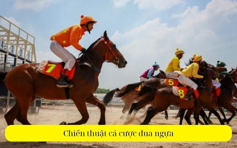 Chiến thuật cá cược đua ngựa