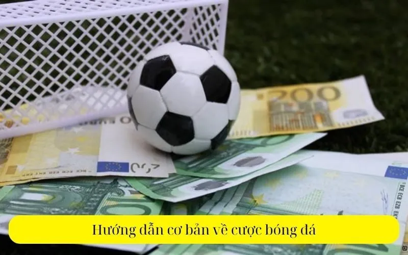 Hướng dẫn cơ bản về cược bóng đá