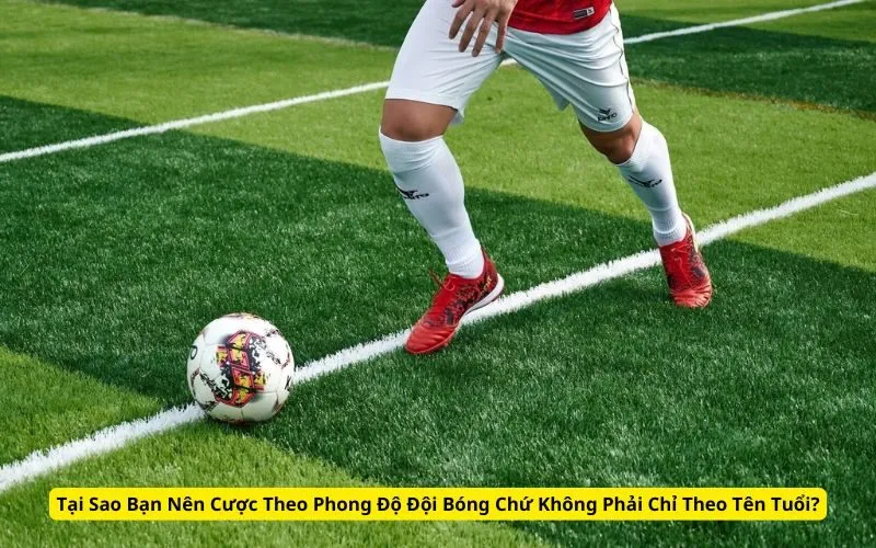 Tại Sao Bạn Nên Cược Theo Phong Độ Đội Bóng Chứ Không Phải Chỉ Theo Tên Tuổi