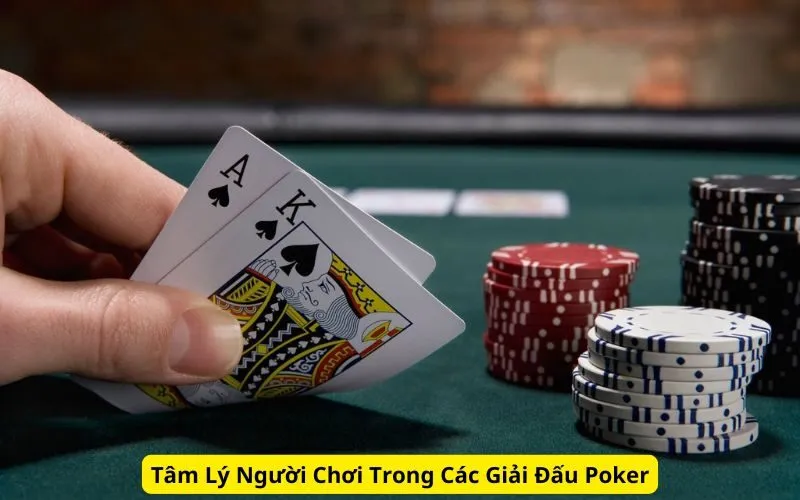 Tâm Lý Người Chơi Trong Các Giải Đấu Poker