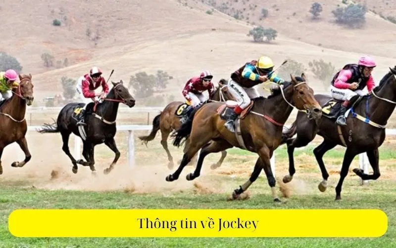 Thông tin về Jockey