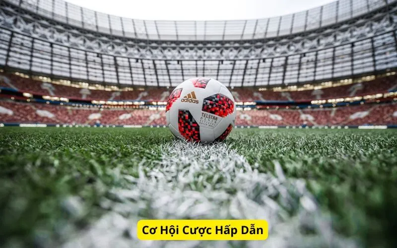 Cơ Hội Cược Hấp Dẫn