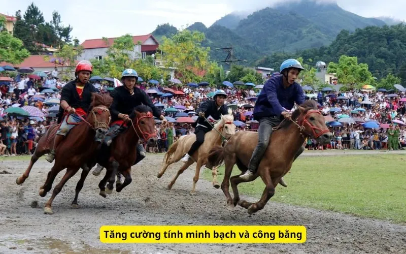 Tăng cường tính minh bạch và công bằng