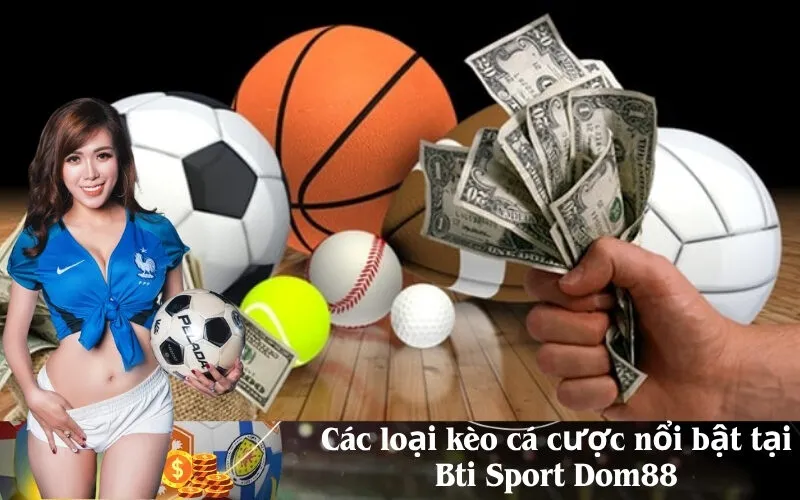 Các loại kèo cá cược nổi bật tại Bti Sport Dom88