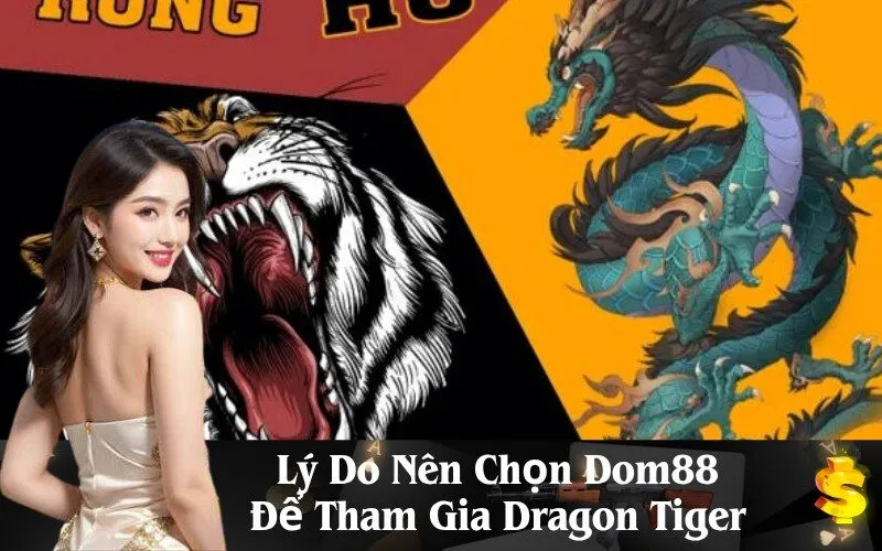 Lý Do Nên Chọn Dom88 Để Tham Gia Dragon Tiger