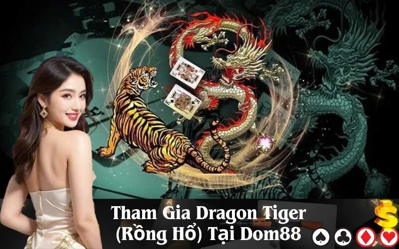 Tham Gia Dragon Tiger (Rồng Hổ) Tại Dom88