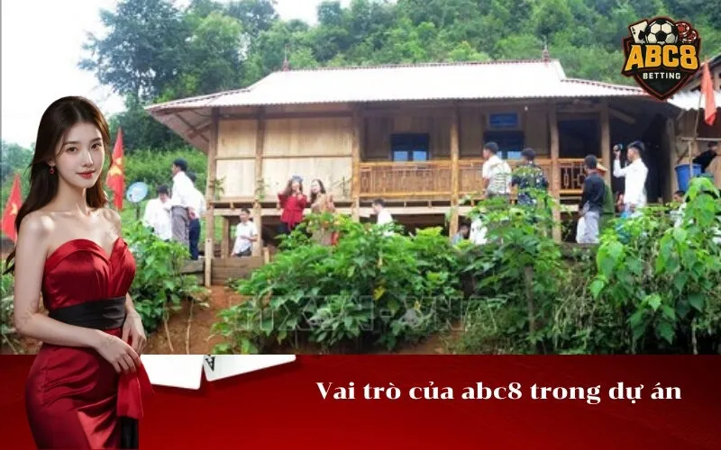 Vai trò của abc8 trong dự án