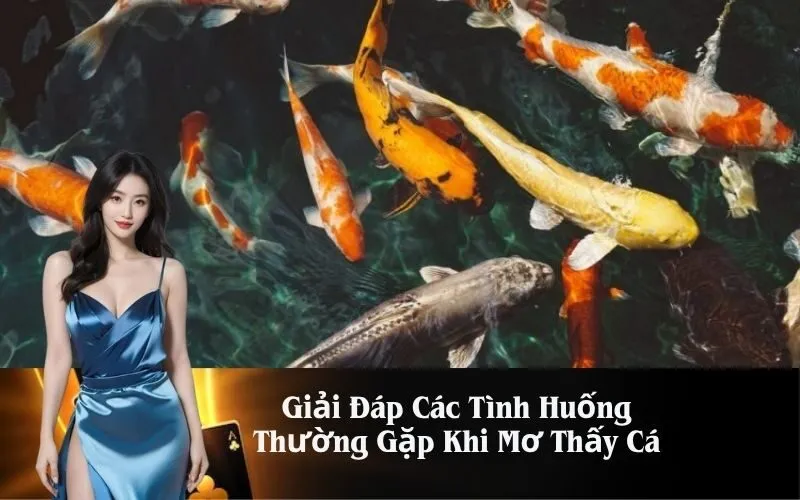 Giải Đáp Các Tình Huống Thường Gặp Khi Mơ Thấy Cá